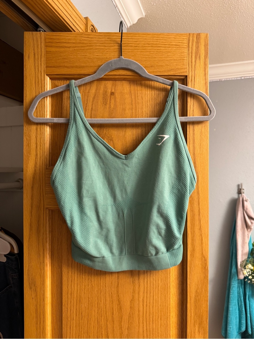 Gymshark Teal Seamless V-Neck Sports Crop Bra